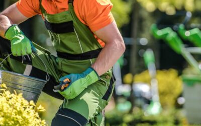 Entretien de jardin à Luxembourg Ville avec Fairy Cleaning Services